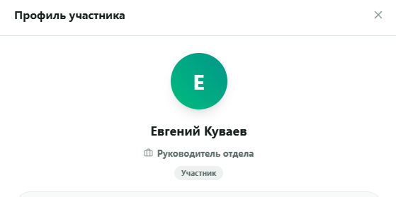 Member Profile Window in Team Module